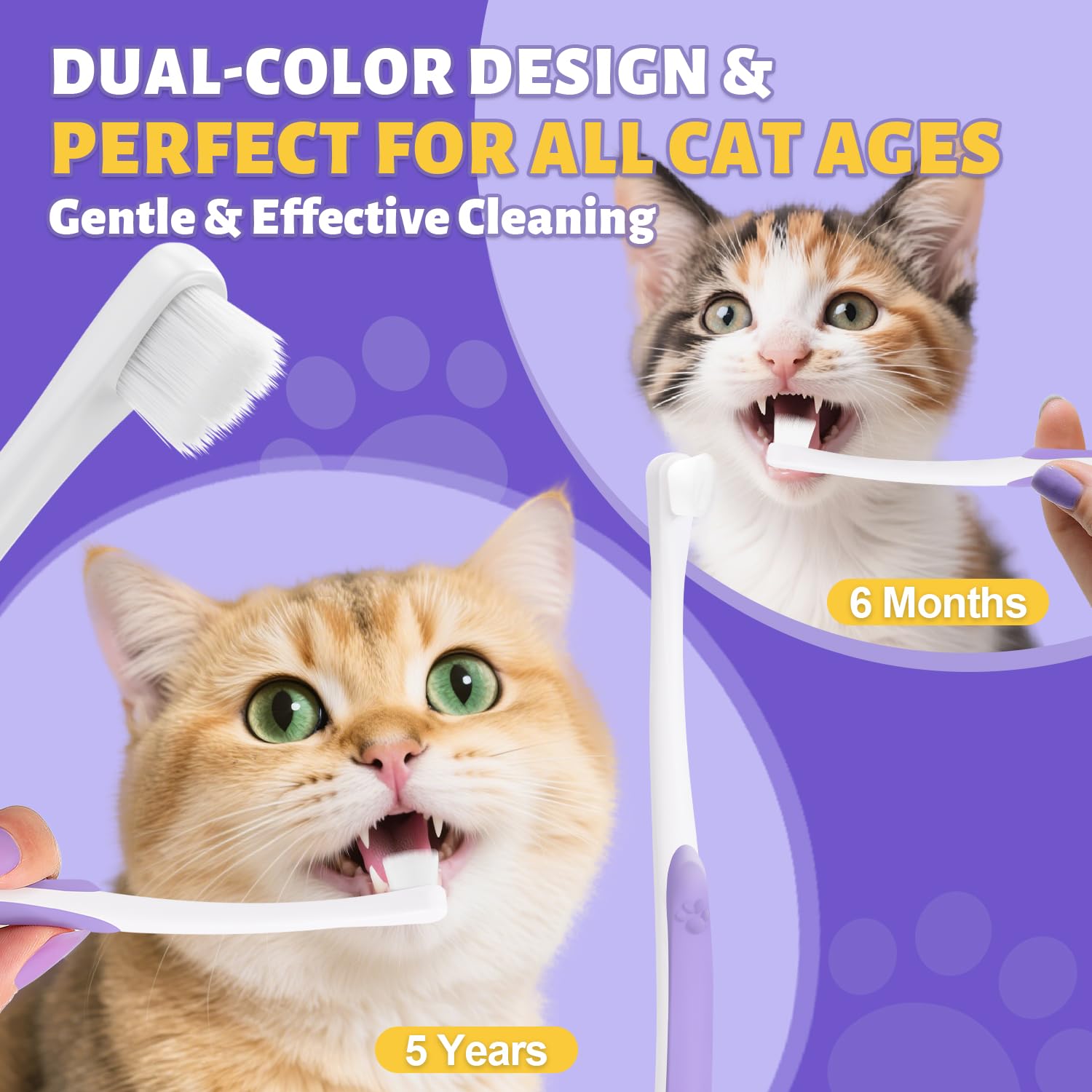 VVHOMIFE: ideal para rutina diaria de cepillado con gatos.
