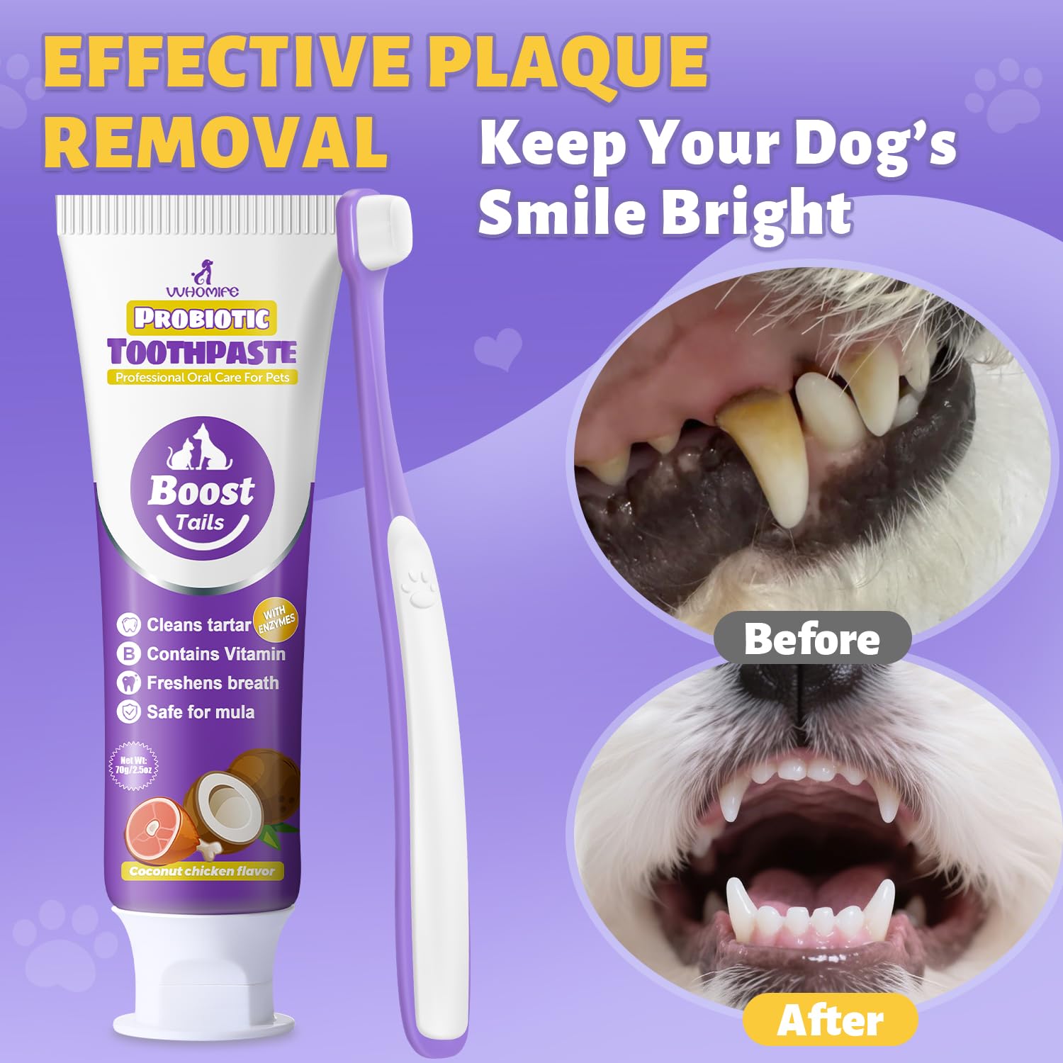Embalaje del kit dental VVHOMIFE listo para uso.