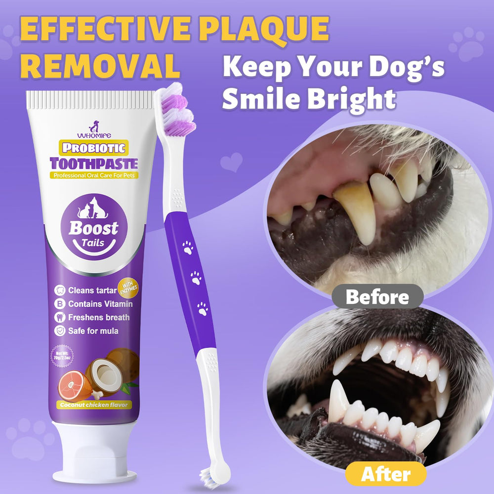Embalaje claro del kit dental VVHOMIFE para casa.