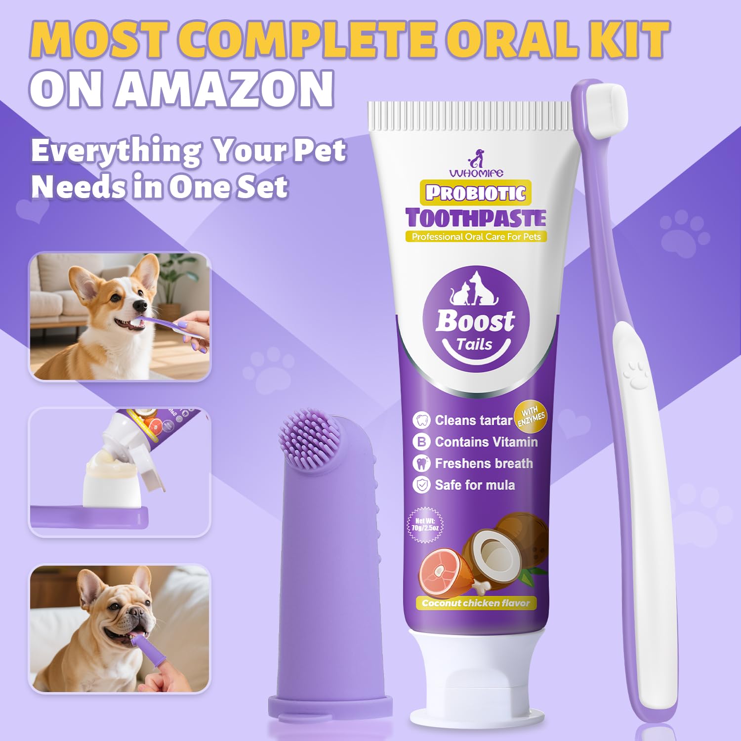 Guía de cuidado dental VVHOMIFE para perros pequeños.