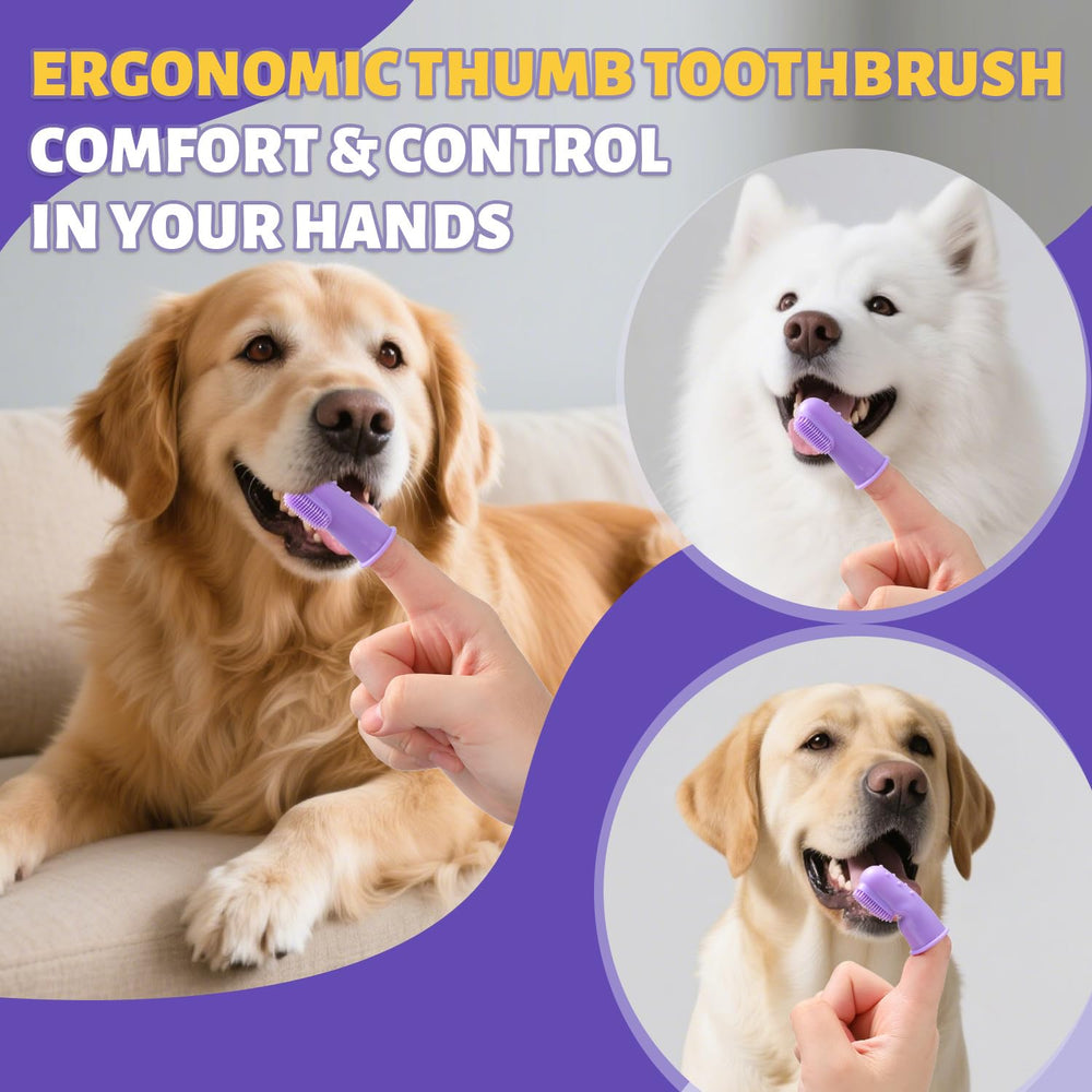Kit completo VVHOMIFE de cuidado oral para perros.