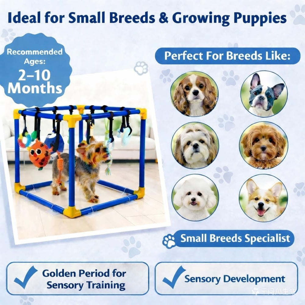 Uso interior seguro para cachorros, fomenta estimulación mental y hábitos saludables.