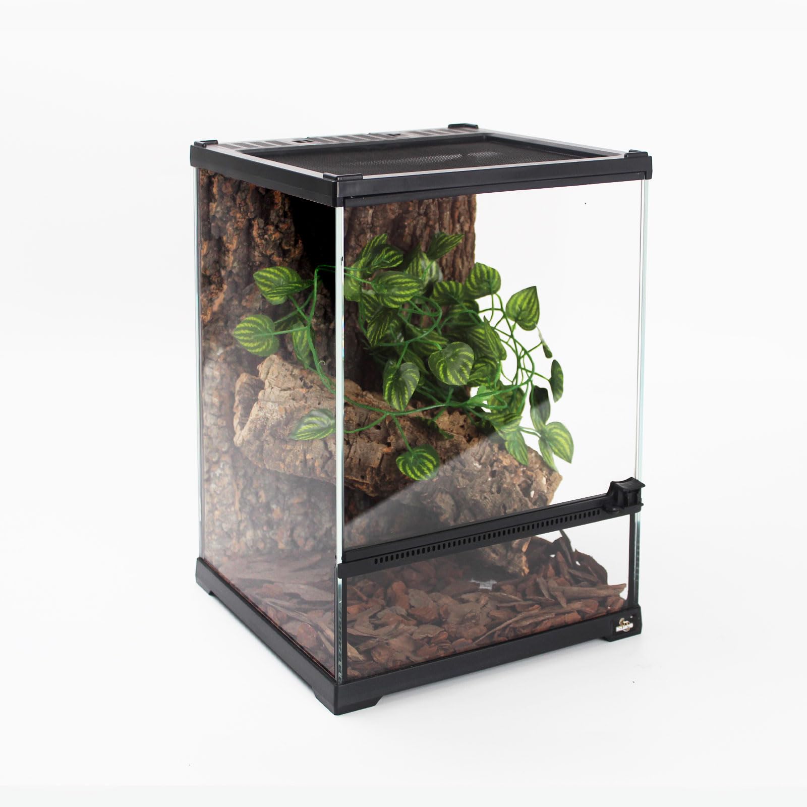 Waazoorep regalo ideal: terrario de cristal para niños y aficionados.