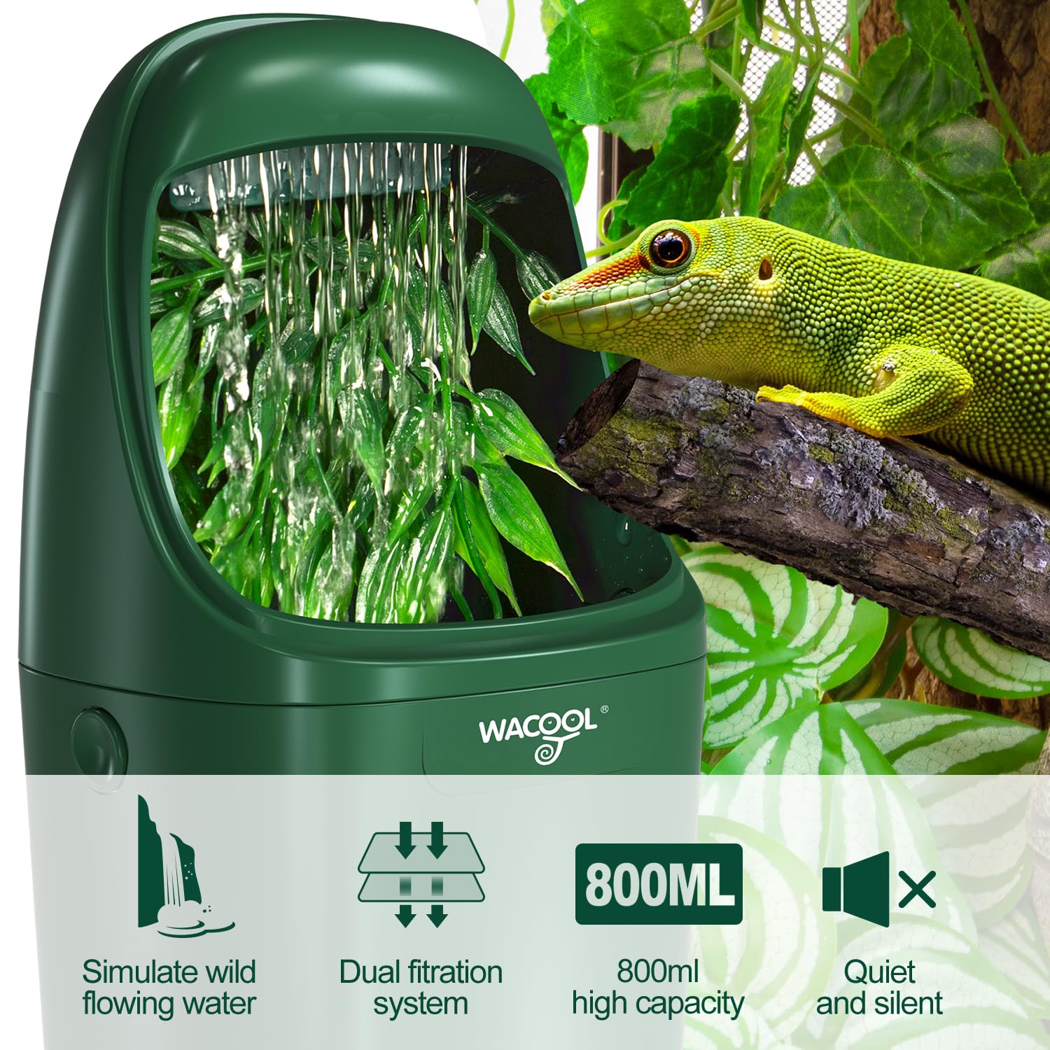 WACOOL TERRA filtro-doble mantiene el agua más limpia para tu reptil.