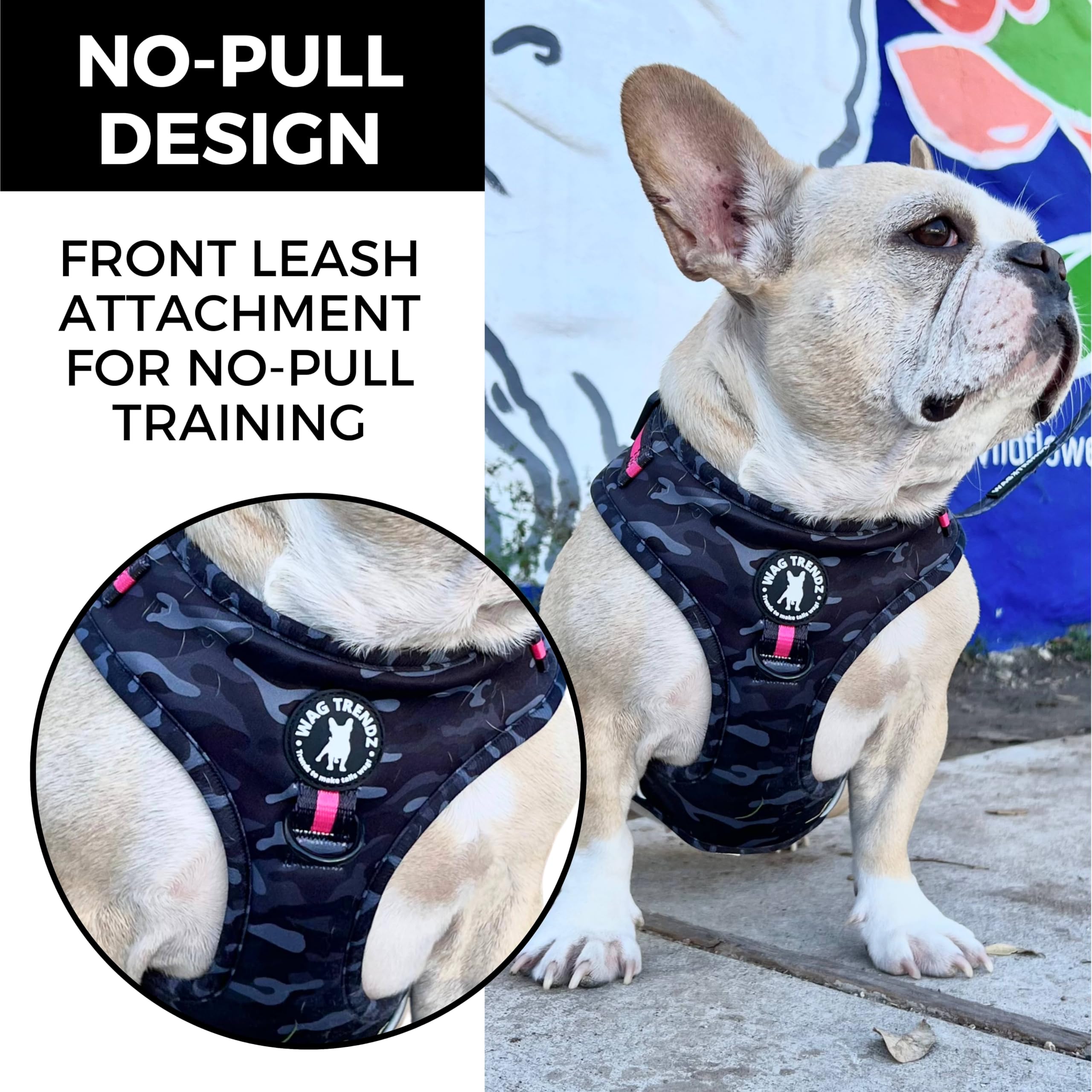 Wag Trendz ajuste cuello y pecho, tallas XS–XL seguras.