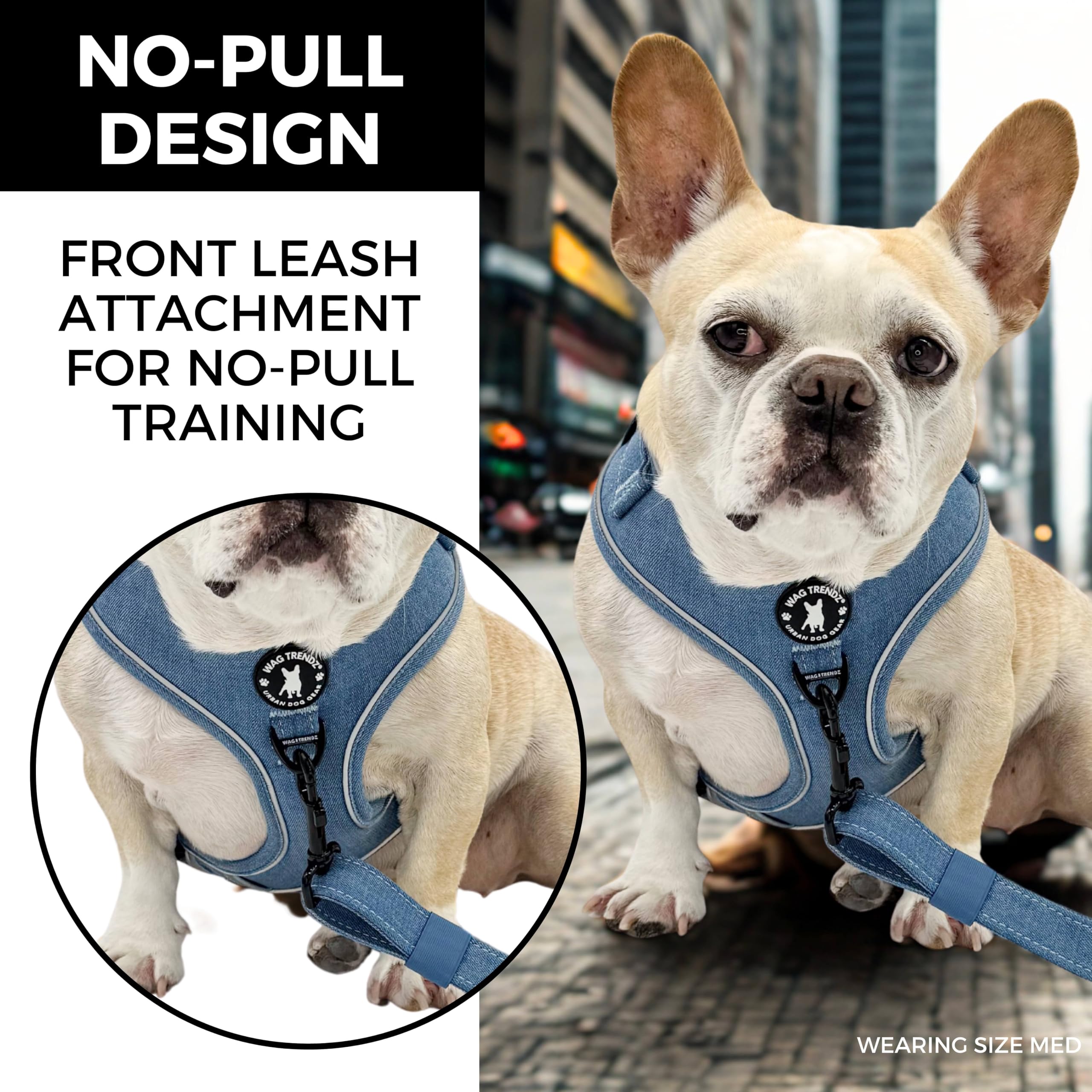 Arnés Wag Trendz para perro grande con reflectante para mayor visibilidad.