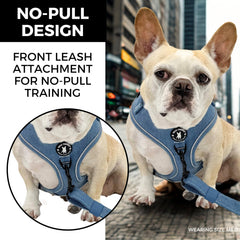 Arnés Wag Trendz para perro grande con reflectante para mayor visibilidad.
