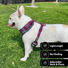 Wag Trendz pecho acolchado, soporte cómodo para perros activos.