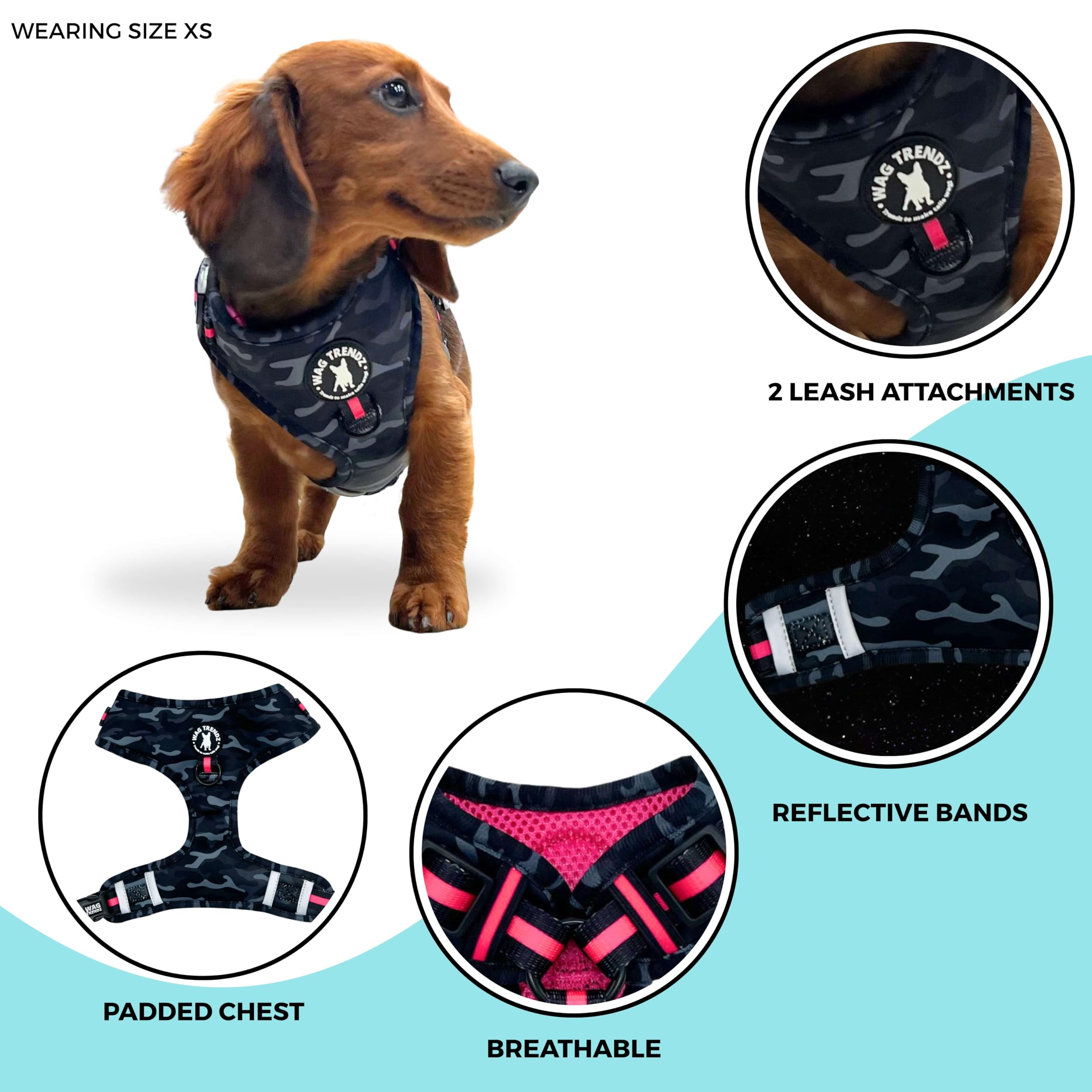 Wag Trendz reflectivo, mayor visibilidad en poca luz para seguridad.