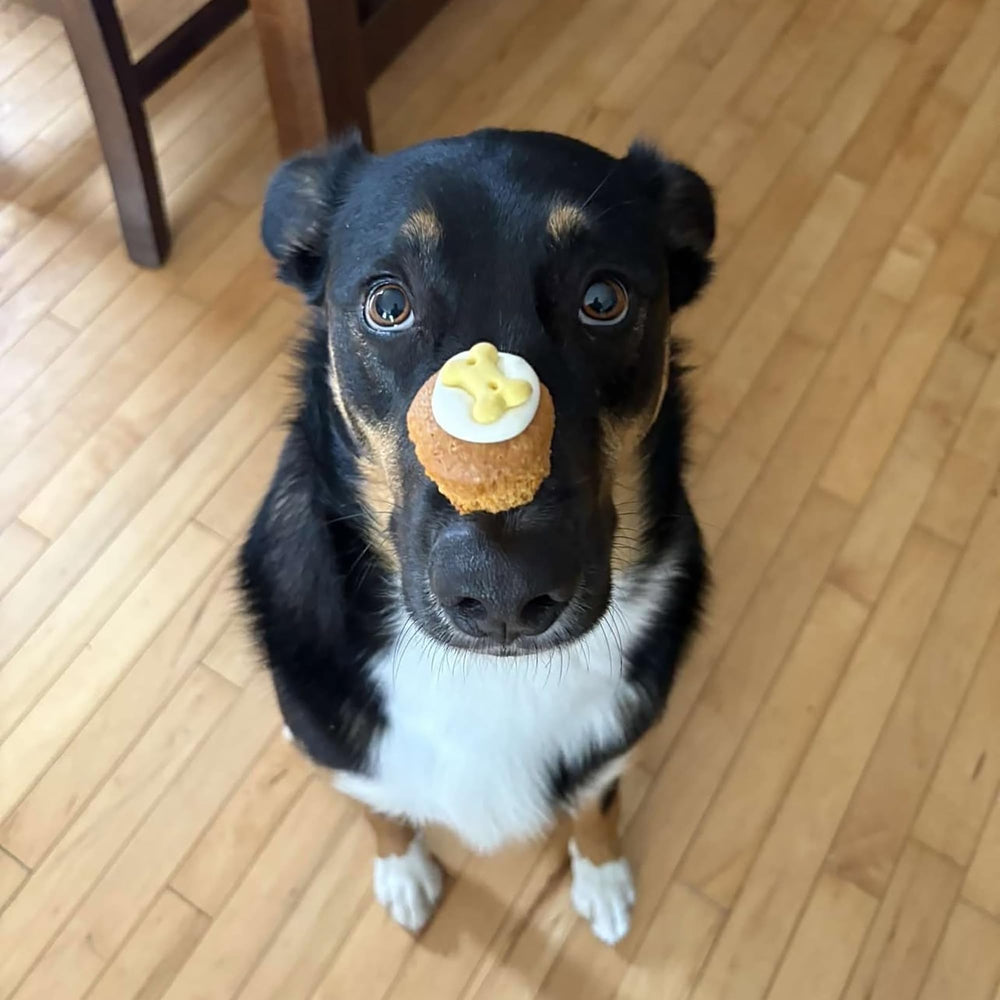 Tamaño mini ideal para entrenamiento con Wagging Dog Bakery