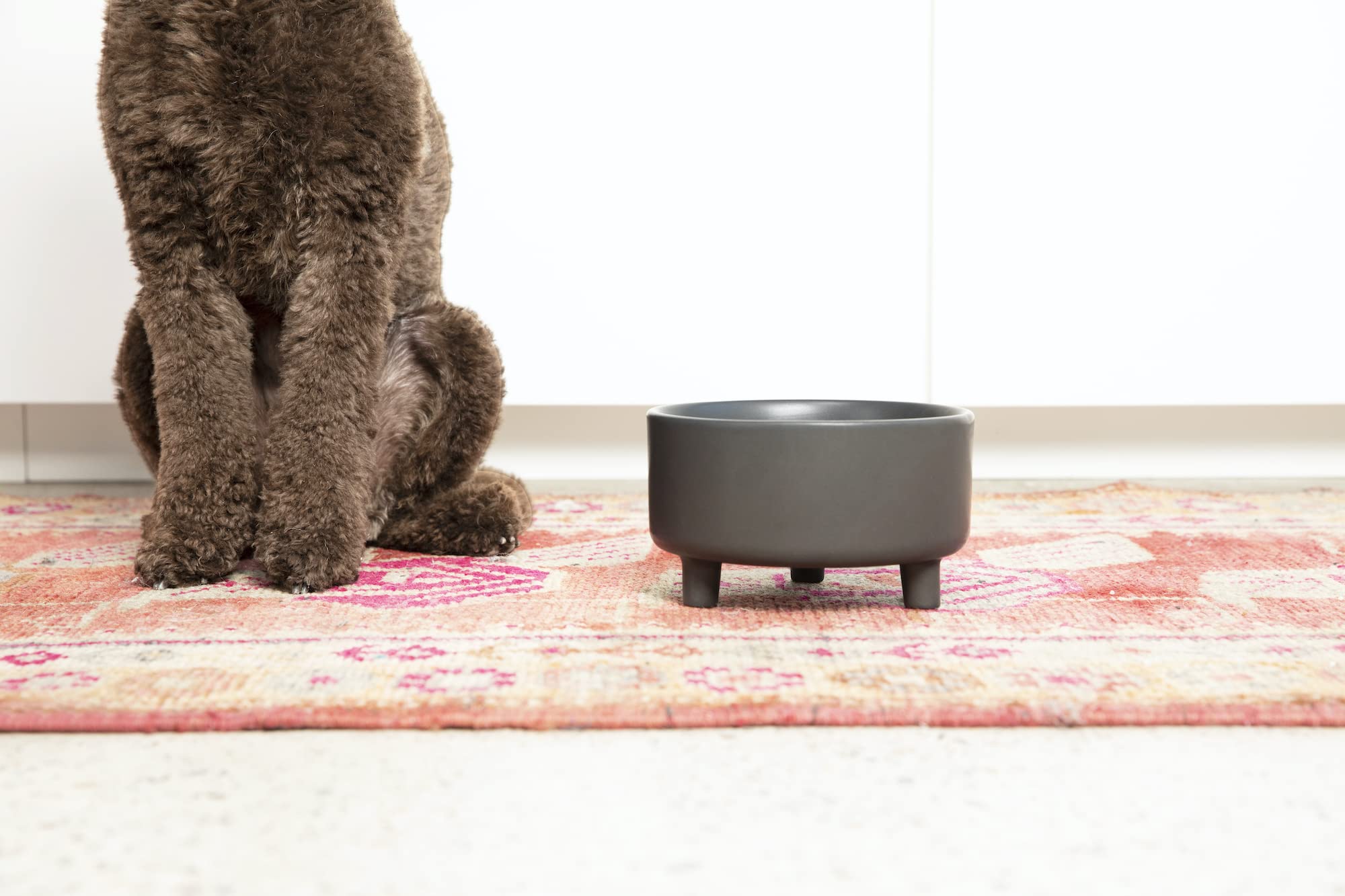 Tazón Waggo Uplift apto para lavavajillas para limpieza rápida