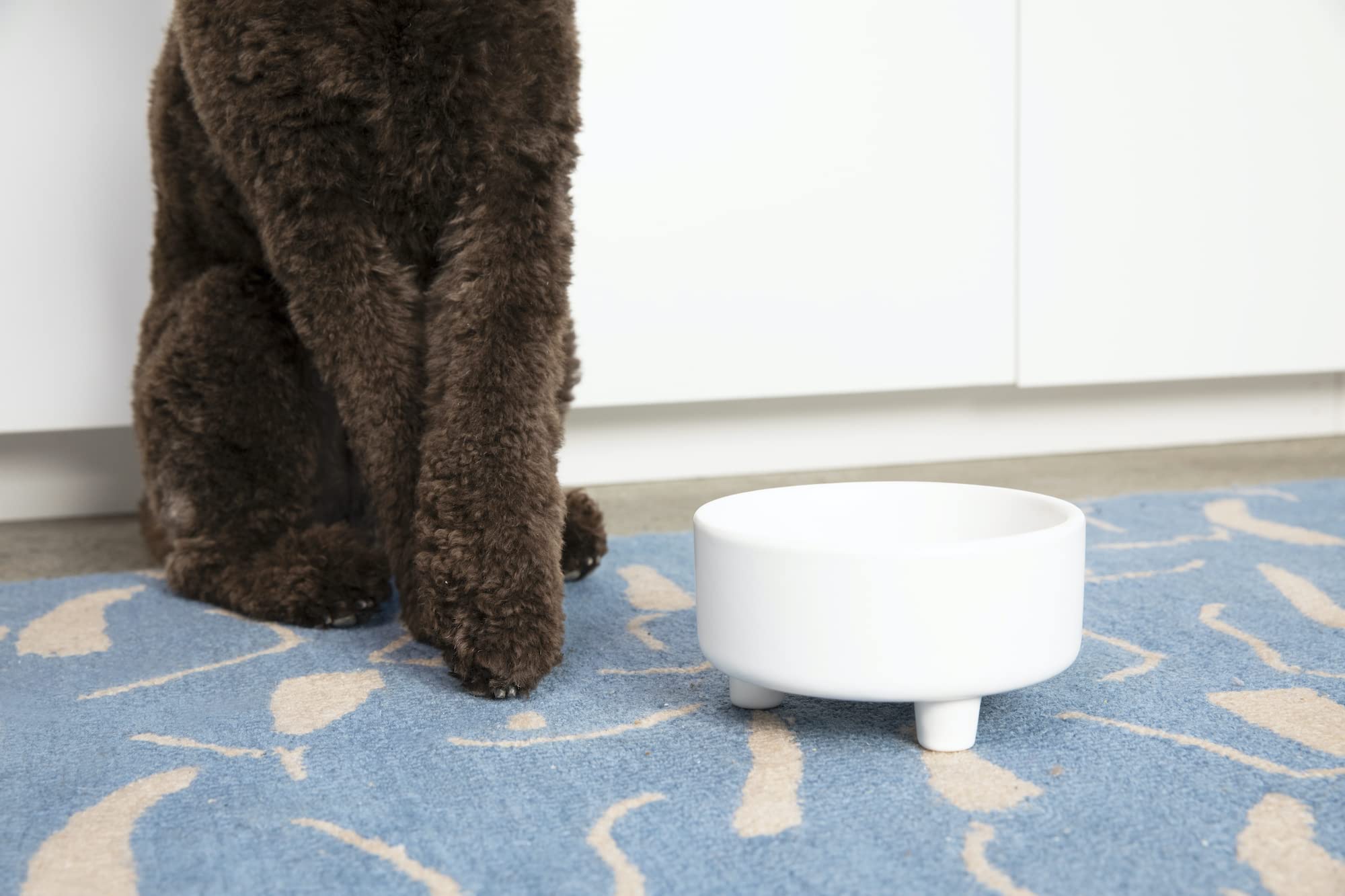 Tazón Waggo Uplift para perros pequeños, apto para comida seca o húmeda