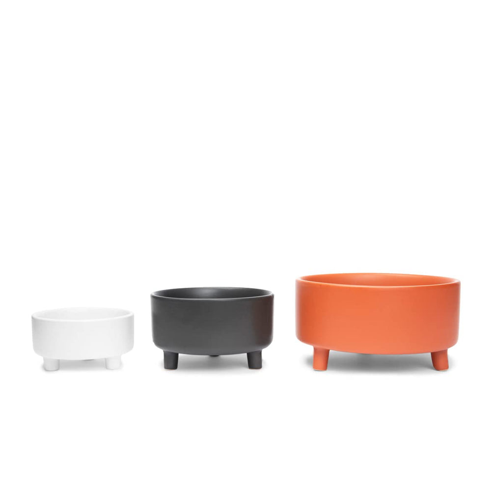 Tazón Waggo Uplift para agua o comida diaria de tus mascotas