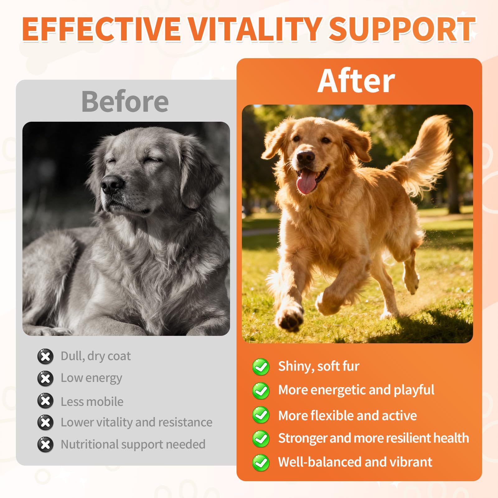 Wagmee vitaminas para perros, dientes fuertes y salud dental.
