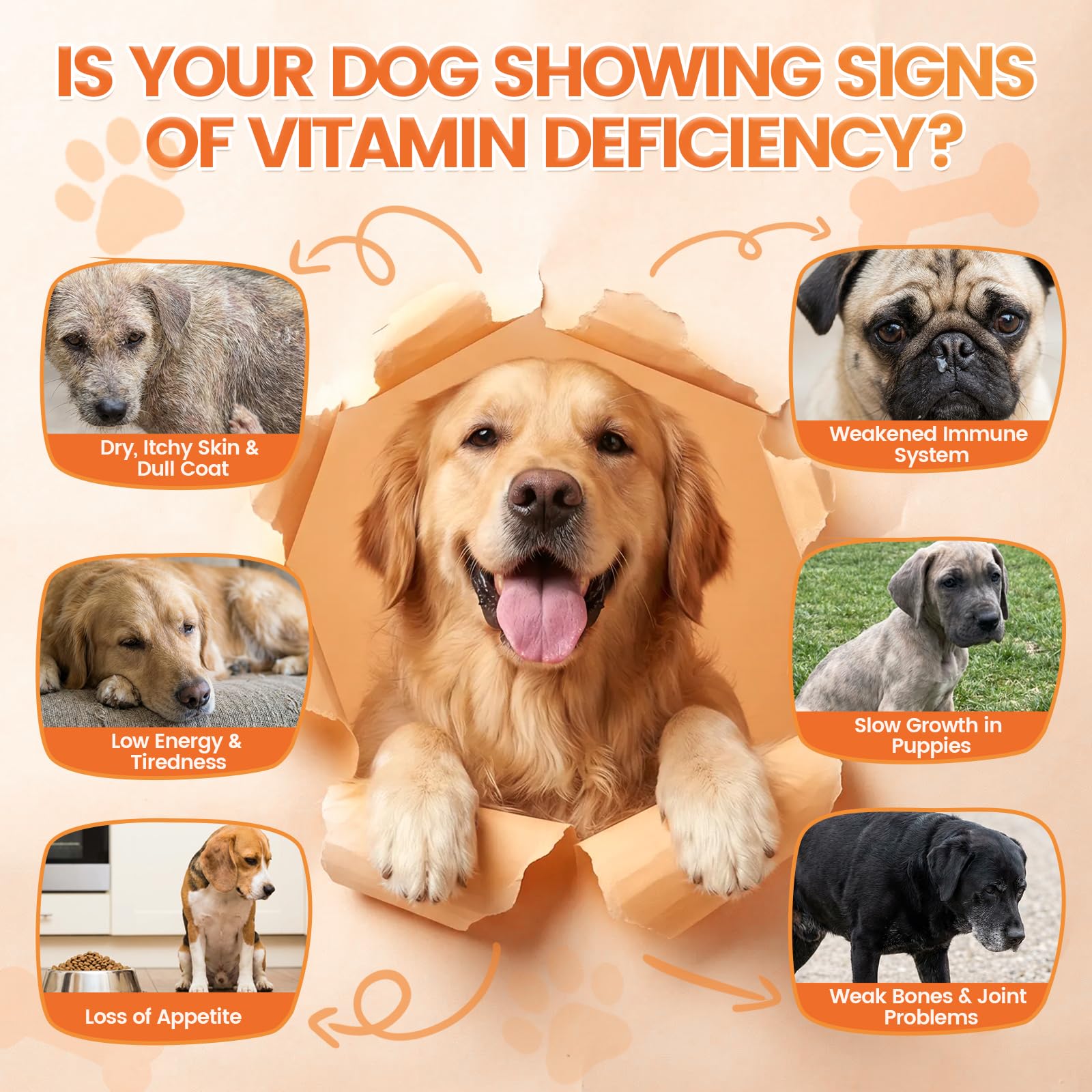 Wagmee vitaminas para perros, cuidado de la piel y el pelaje.