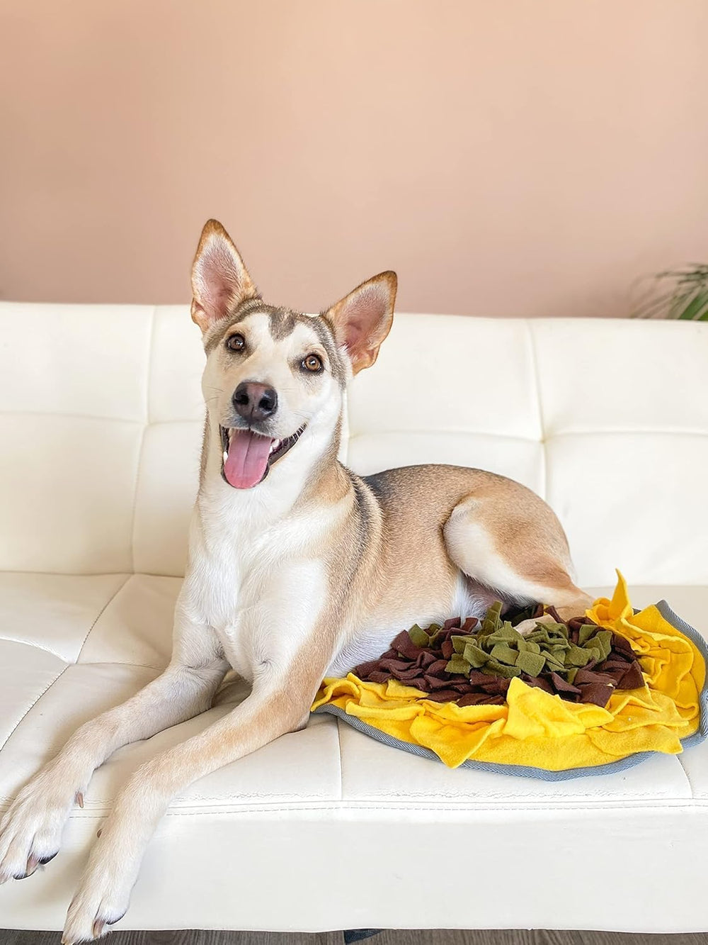 Wagorific juguete de enriquecimiento mental para perros, mantiene la mente activa.