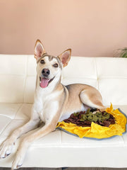 Wagorific juguete de enriquecimiento mental para perros, mantiene la mente activa.