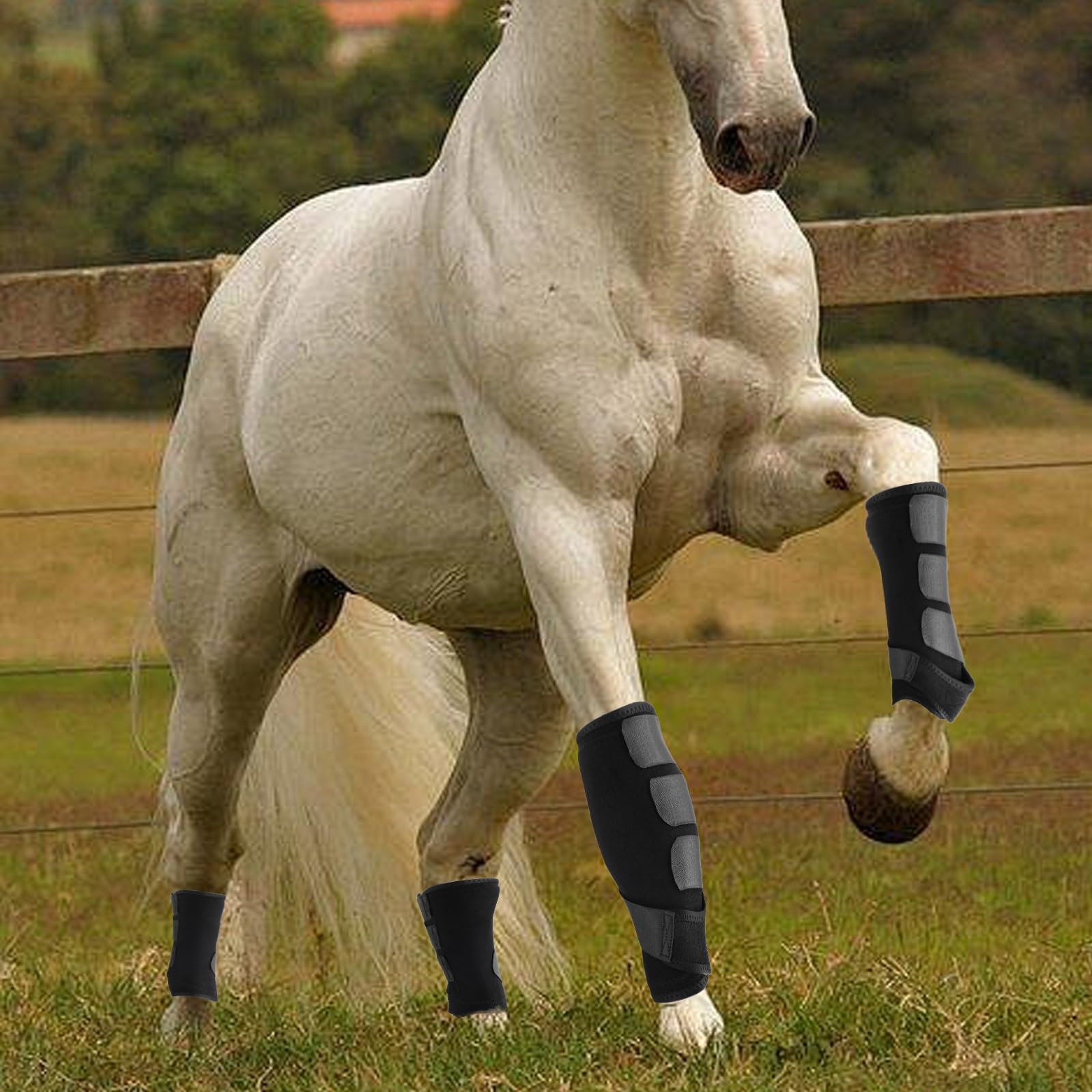 Botas para caballos Wagrvuy, en acción durante salto y entrenamiento intensivo