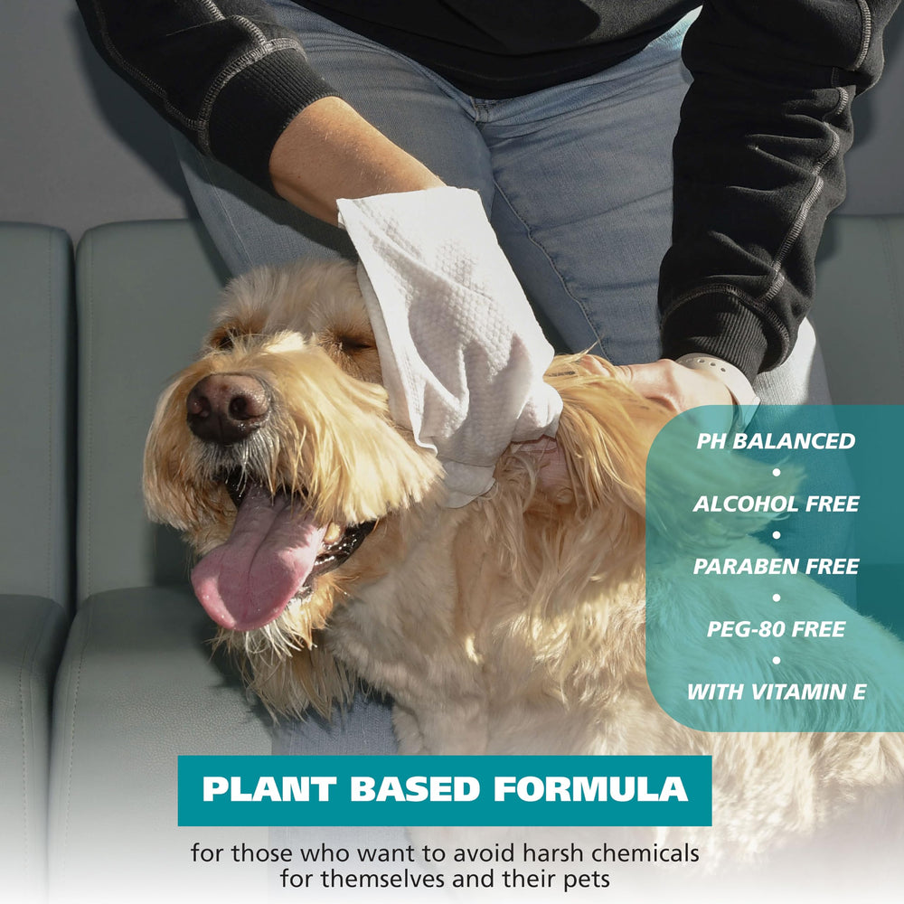 Wahl Refresh paquetes de 12 toallitas para perros