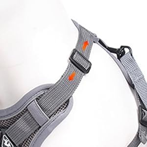 Wanheart conjunto arnés y correa para gatos gris, diseño cómodo.