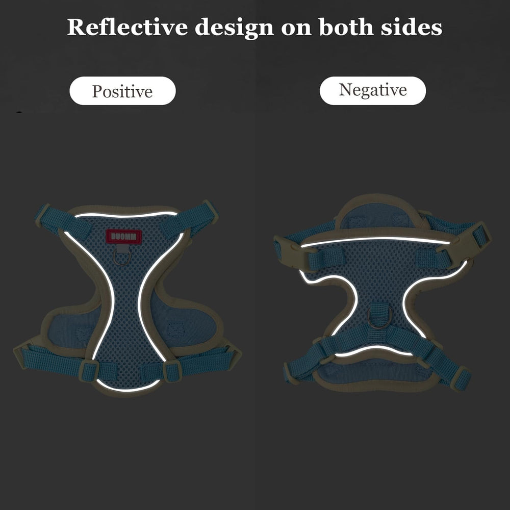 Contenido del pack Wanheart: arnés y correa para gato listo para usar.