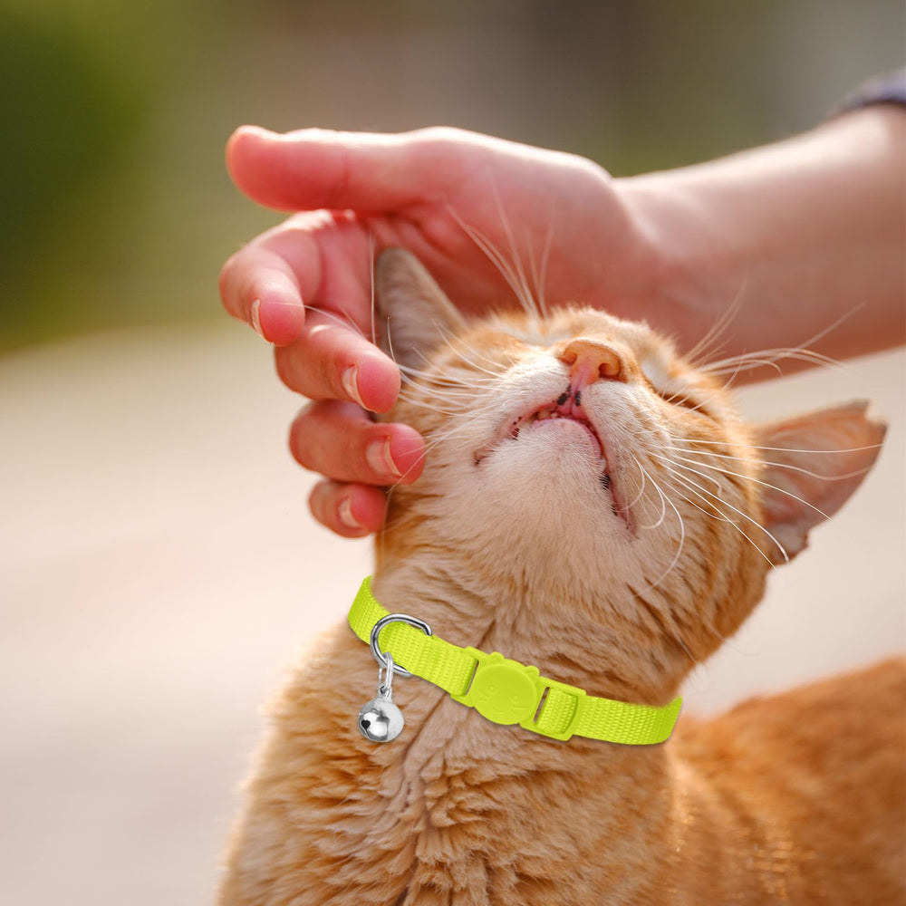 Waoduld collar gato uso diario cómodo: perfecto para la rutina diaria.