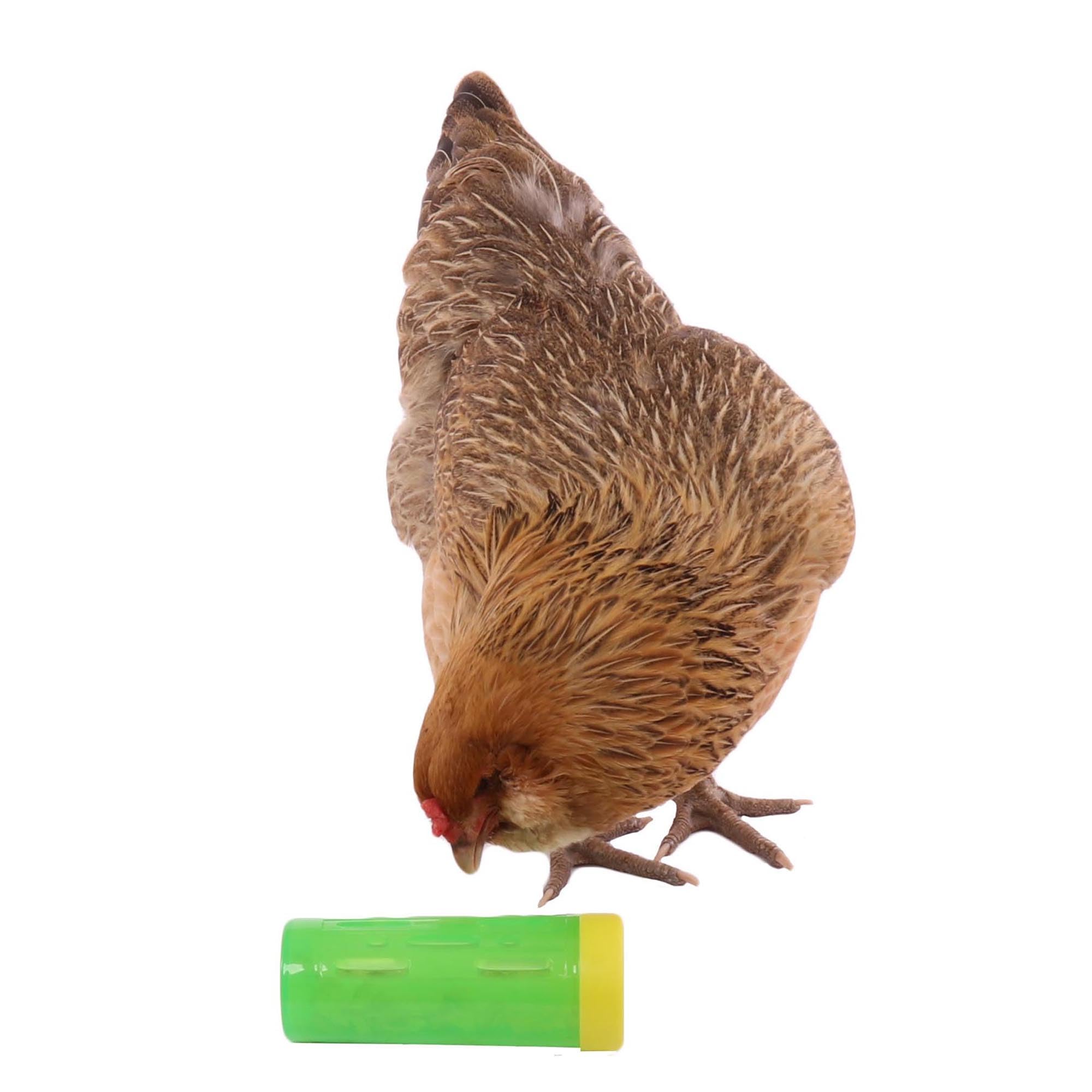 Ware Manufacturing Chicken Treat Roller, limpieza rápida para programar raciones