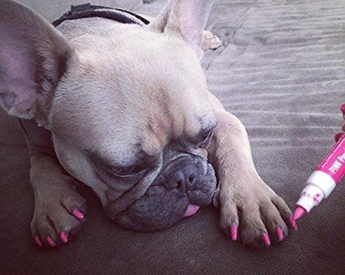 Pawdicure Warren London, ideal para uñas pequenas y arte en perros