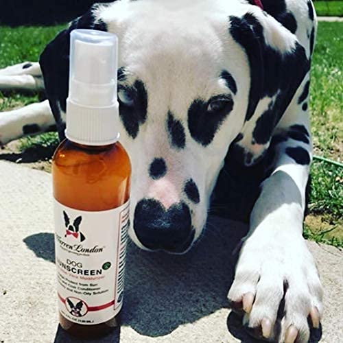Warren London protector solar para perros, spray en frente para secado rápido