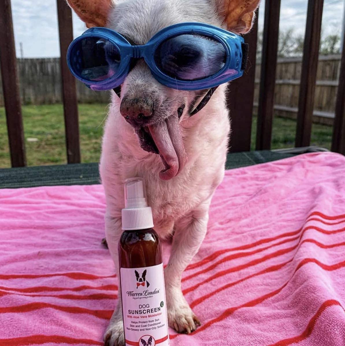 Warren London protector solar para perros, secado rápido sin residuos en piel