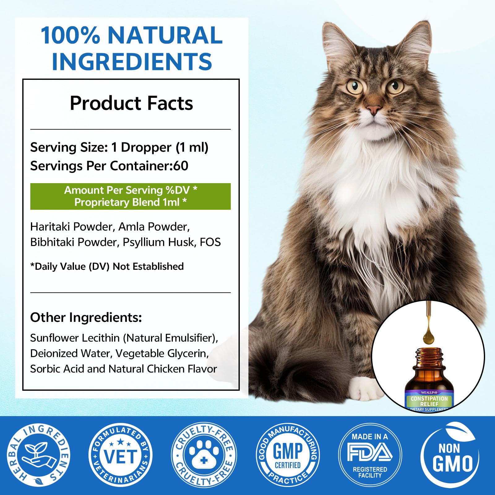 WEALLIN apto para gatos desde 2 meses