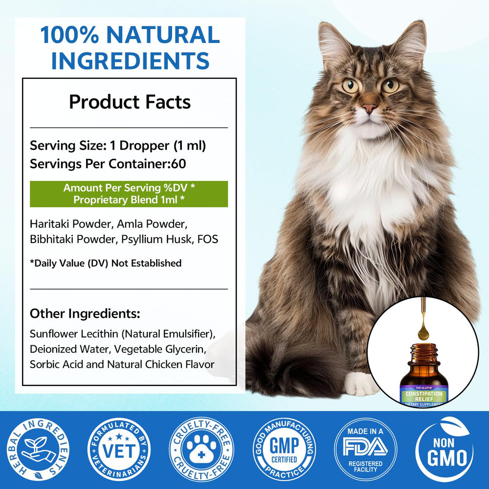 WEALLIN apto para gatos desde 2 meses