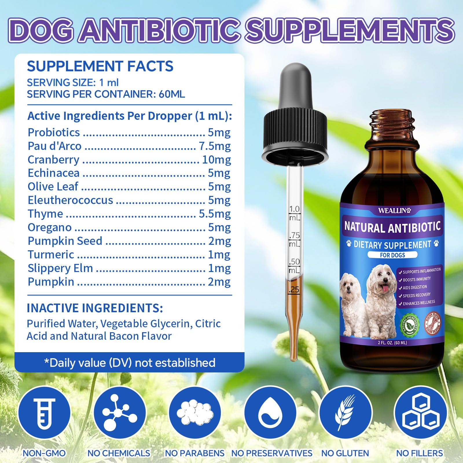 WEALLIN antibióticos para perros: apoyo urinario para bienestar renal.