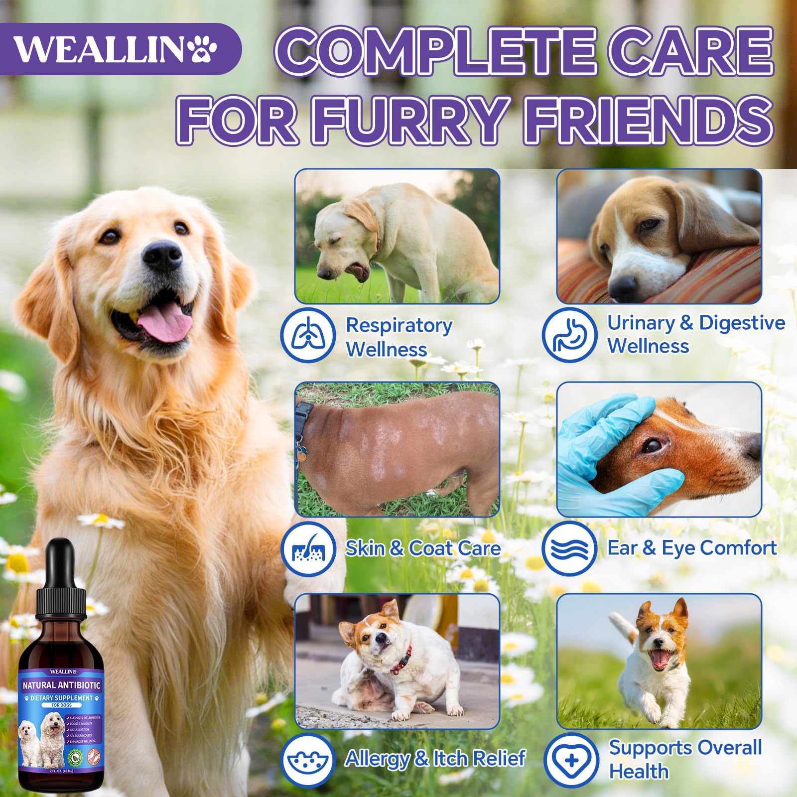 WEALLIN antibióticos para perros: sabor a tocino para una aceptación fácil.