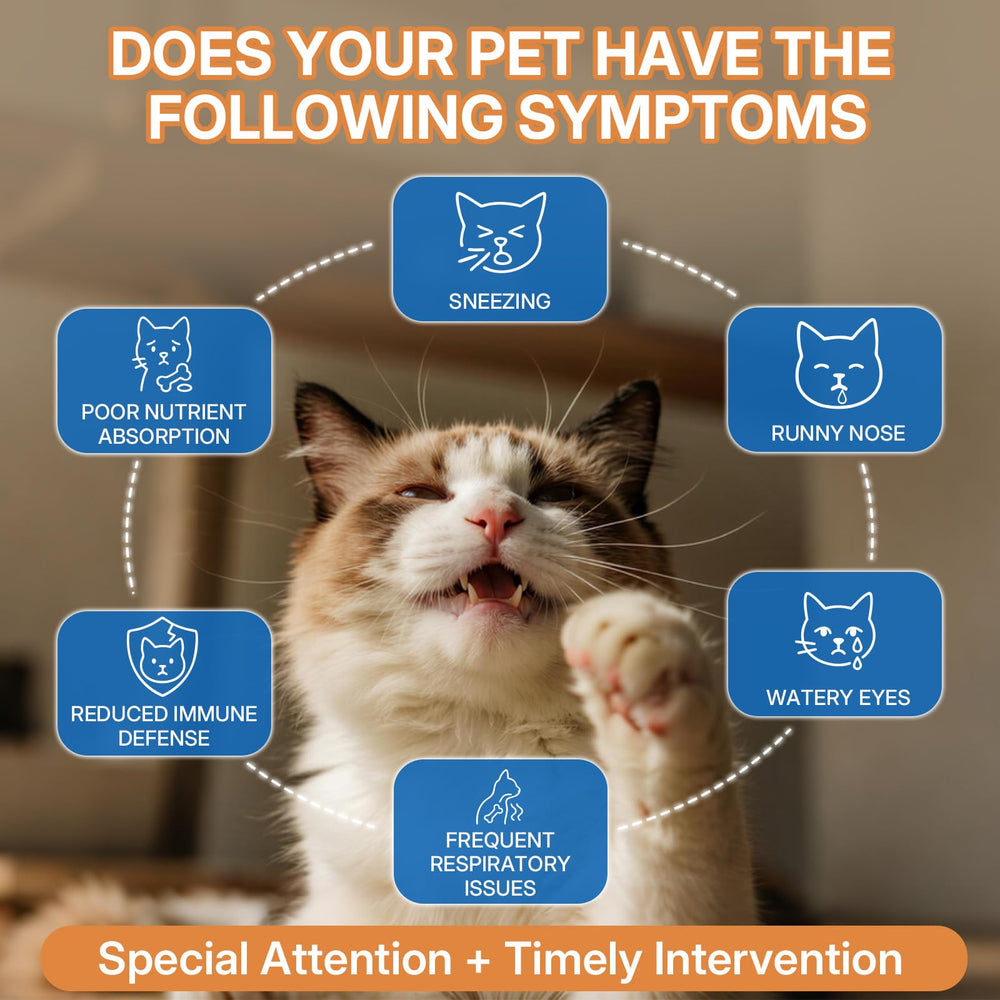 WEALLIN lisina para gatos, apoyo respiratorio suave