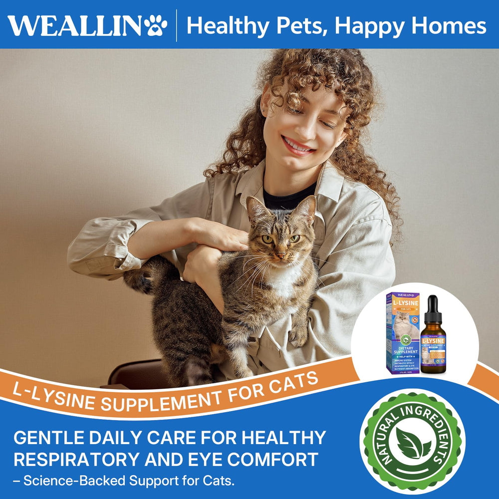 WEALLIN lisina para gatos, formato 2 envases