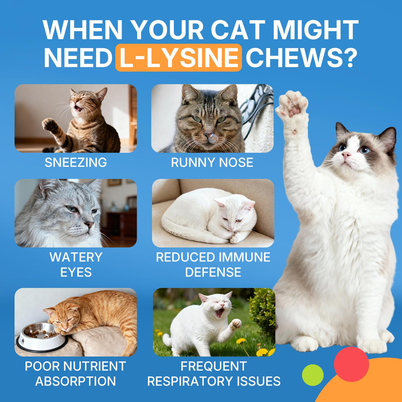 WEALLIN L-lisina para Gatos: omega-3 para piel y pelaje brillantes.