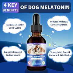 WEALLIN Melatonina para perros, mezcla con comida, experiencia suave.