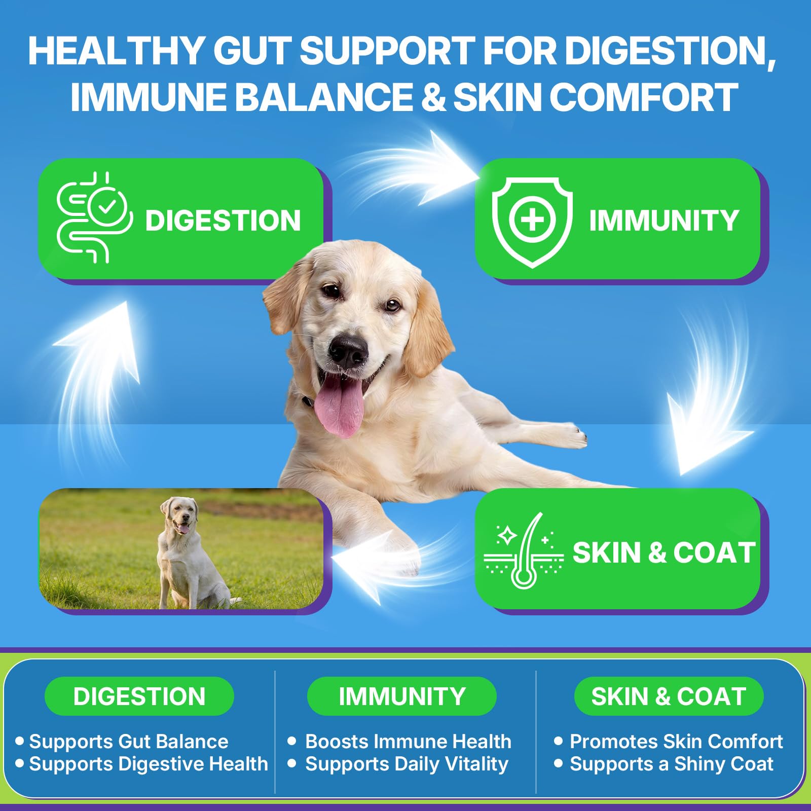 WEALLIN probióticos para perros mezcla avanzada de probióticos y prebióticos para soporte completo.