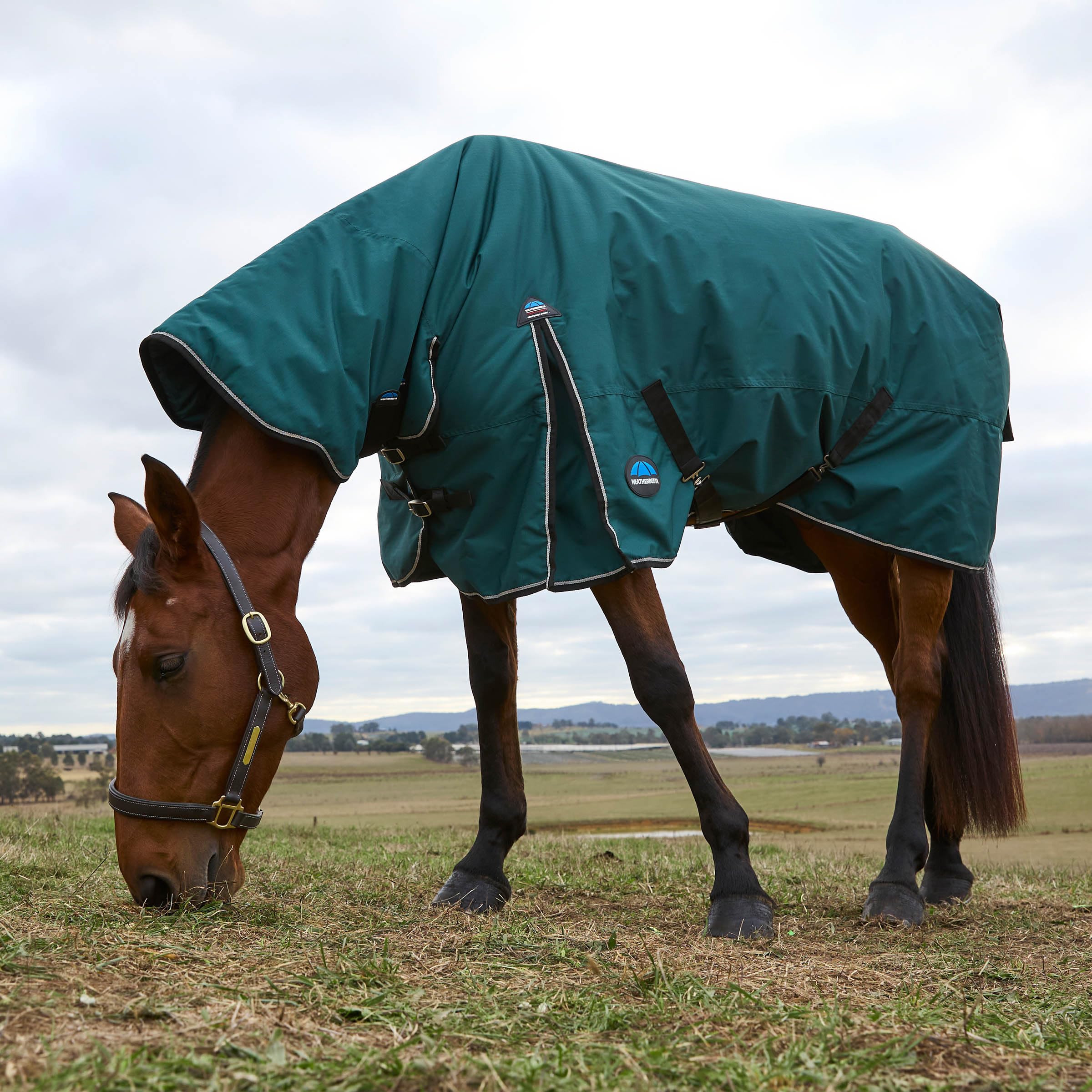 WeatherBeeta ComFiTec Classic Turnout 360g, interior 210T: forro suave cuida el pelaje