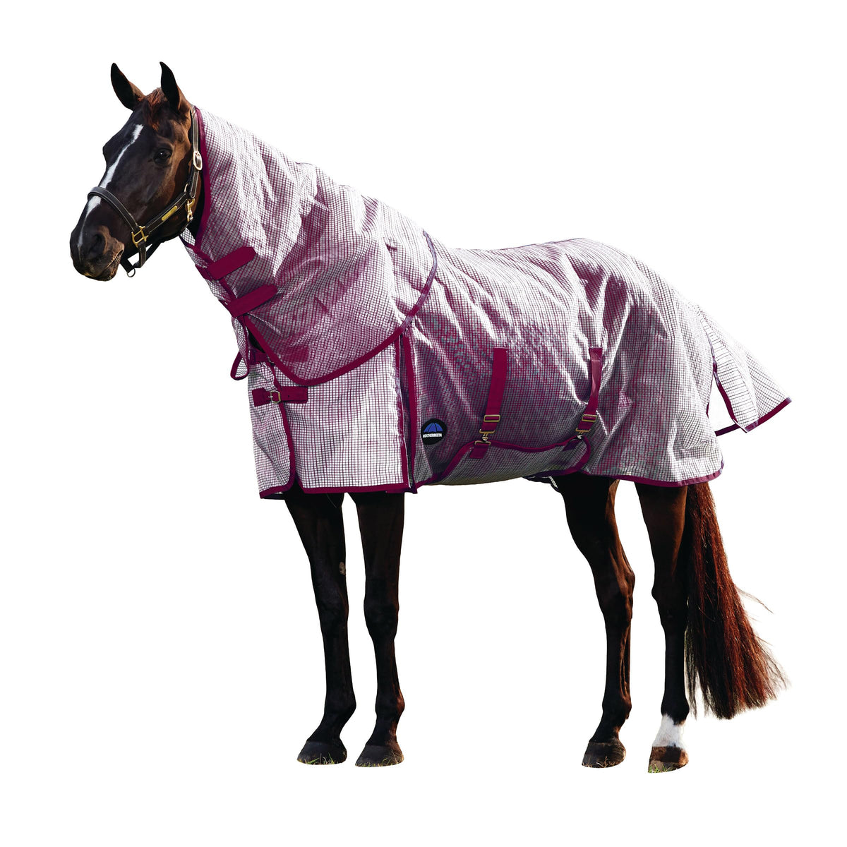 WeatherBeeta ComFiTec Ripshield Fly Sheet sobre un caballo, protección duradera y comodidad.