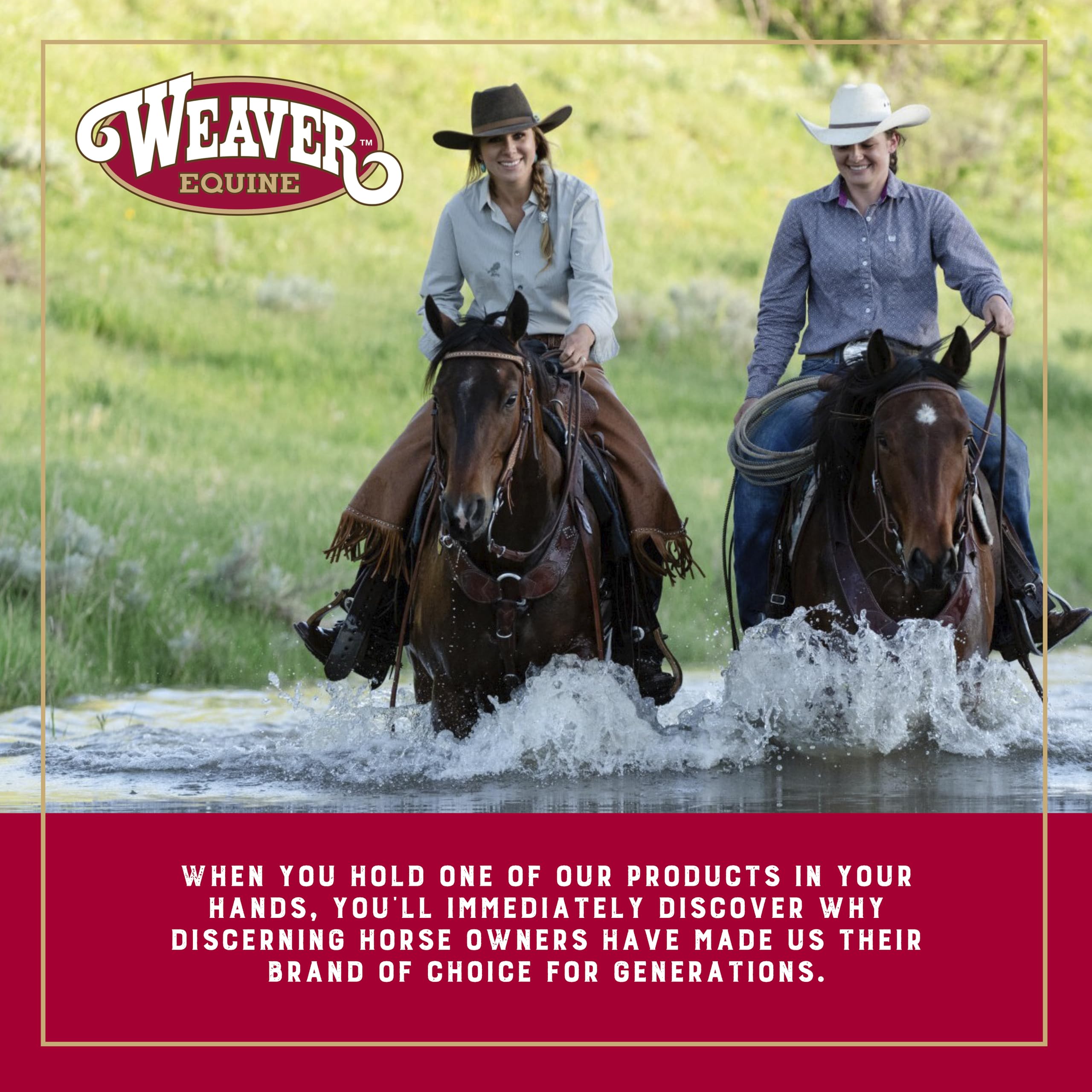 Weaver Equine rascador de sudor y curry grueso, facilita retirar suciedad rápidamente.