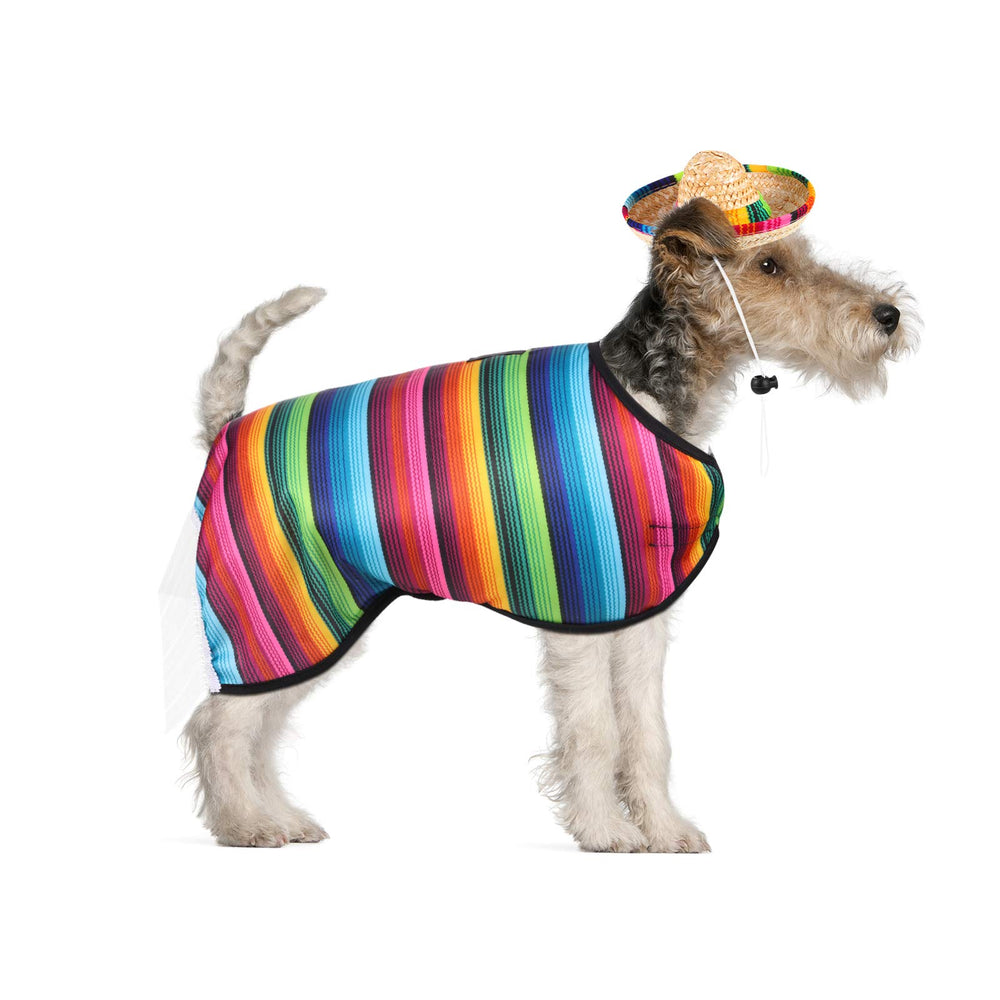 Weewooday accesorio de mascota para Cinco de Mayo: crea momentos memorables.