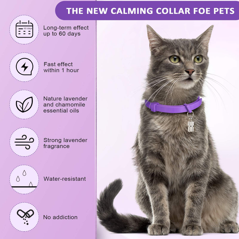 Collar Weewooday mostrando ajuste de longitud para diferentes gatos.