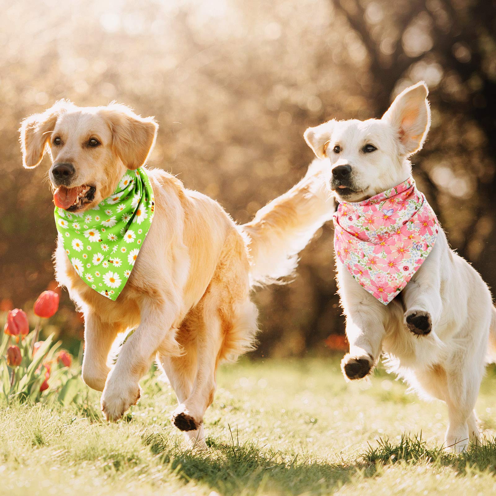 Bandana floral Weewooday para perros con dalias, colores vivos