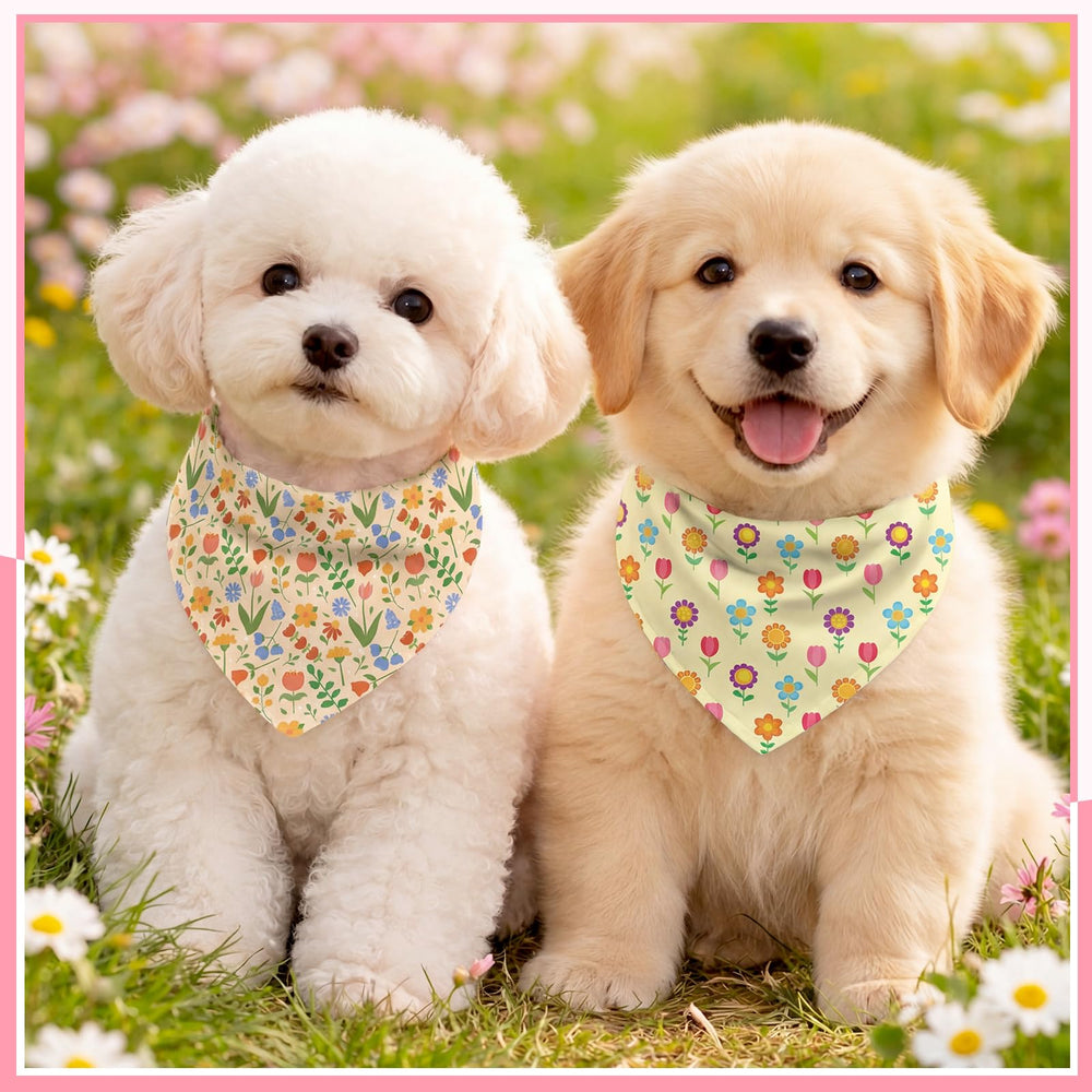 Bandana Weewooday suave y ligera, ideal para uso diario de tu perro.