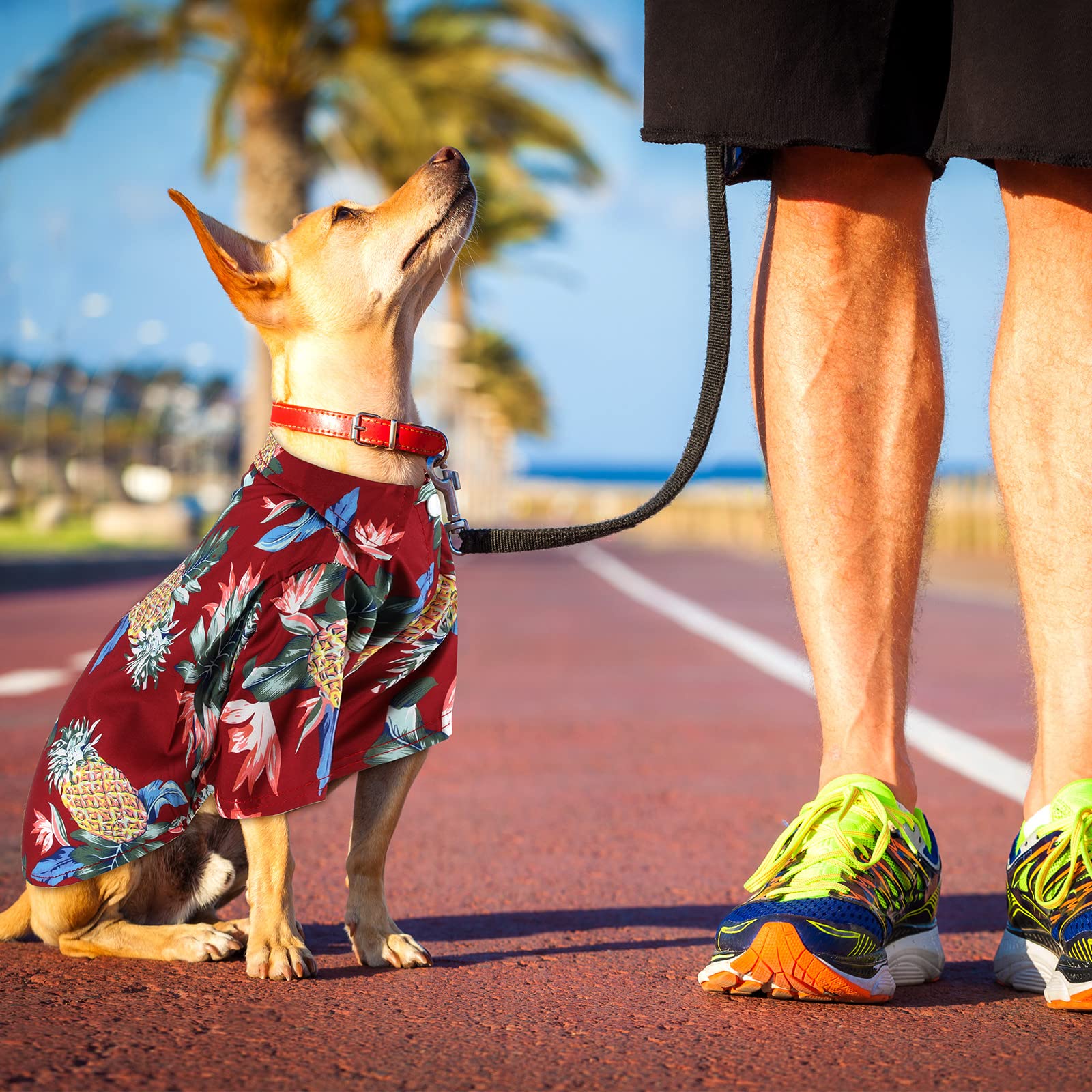 Weewooday camiseta perruna hawaiana con cierre de botones facilita vestir al peludo.