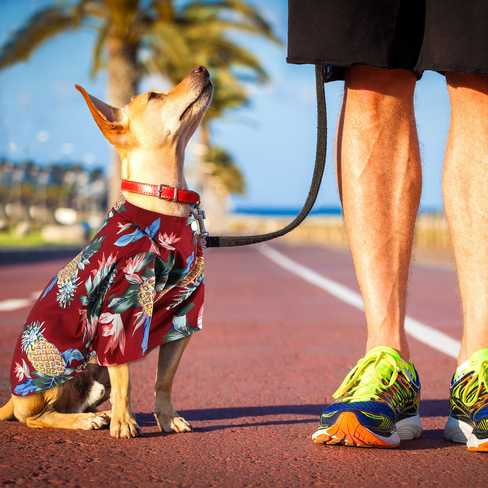 Weewooday camiseta perruna hawaiana con cierre de botones facilita vestir al peludo.
