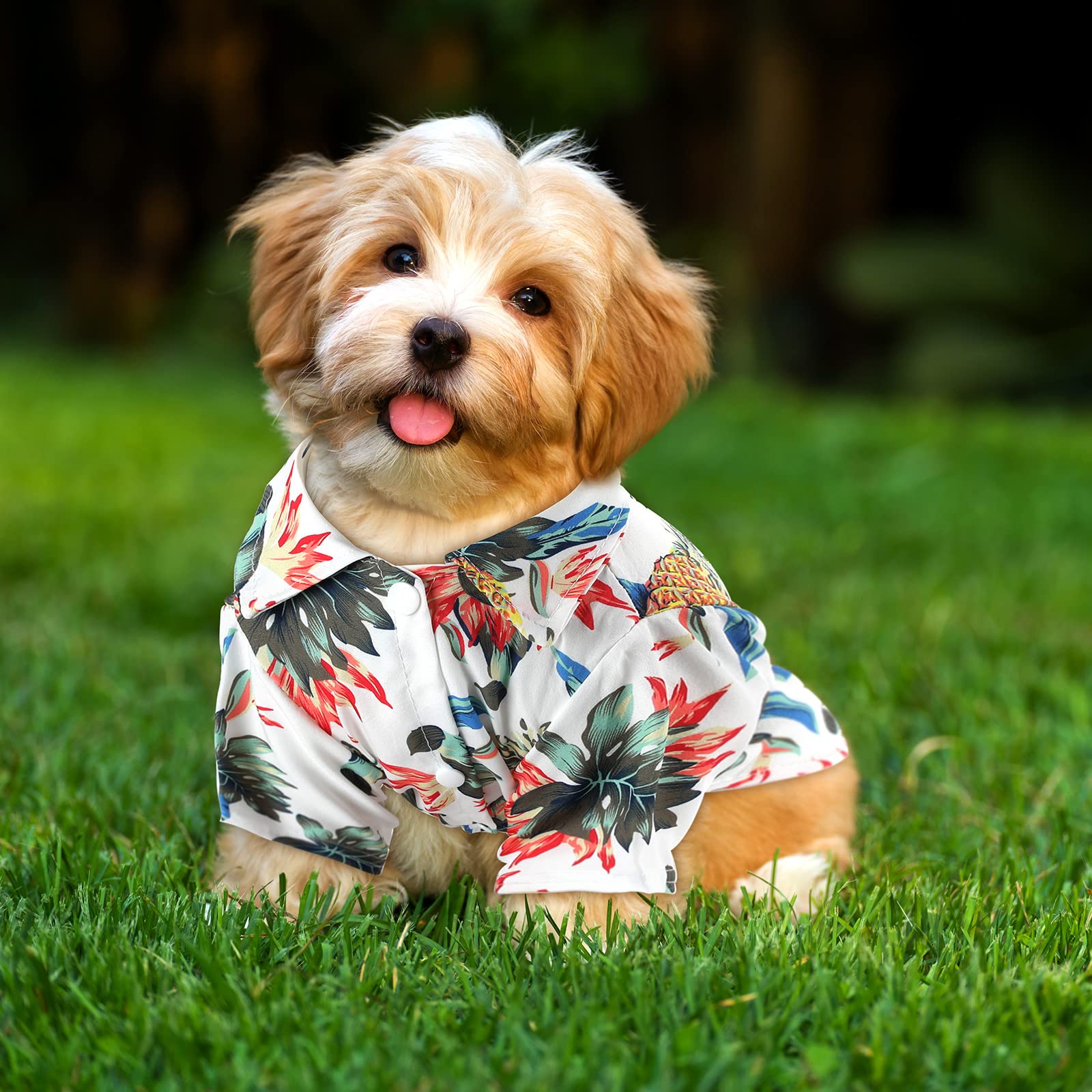 Weewooday camiseta perro hawaiana para playa, diseño veraniego que añade estilo y comodidad.