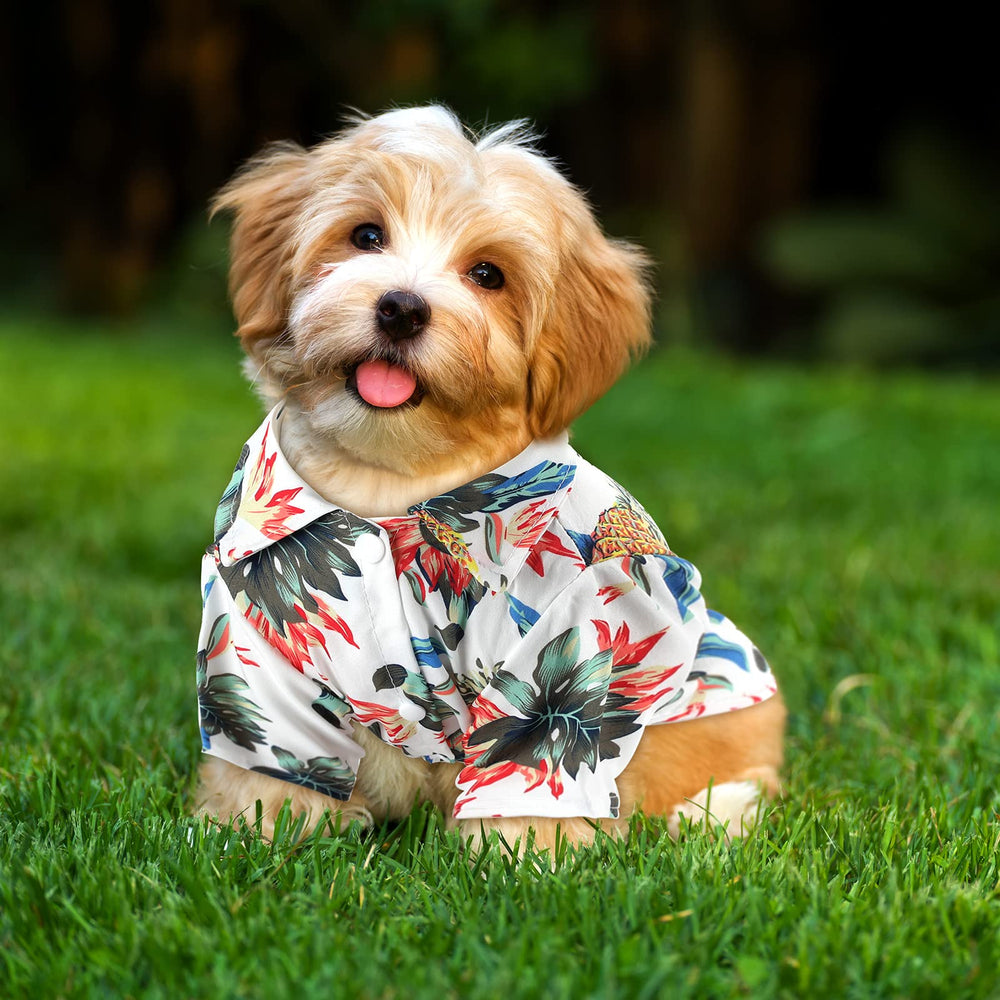 Weewooday camiseta perro hawaiana para playa, diseño veraniego que añade estilo y comodidad.